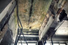 Best Residential Mold Inspection & Testing  in Brock Hall, MD